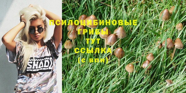 spice Абдулино
