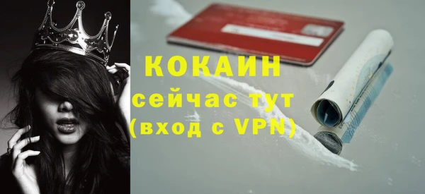 дживик Абаза