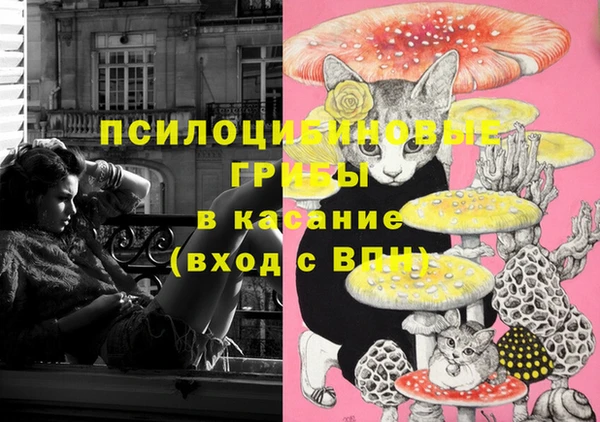 дживик Абаза