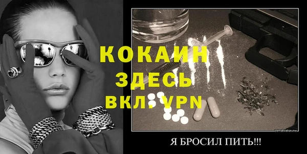 дживик Абаза